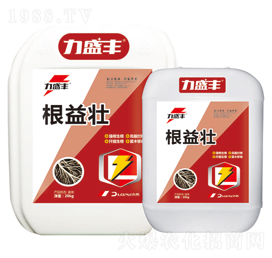 �����-����