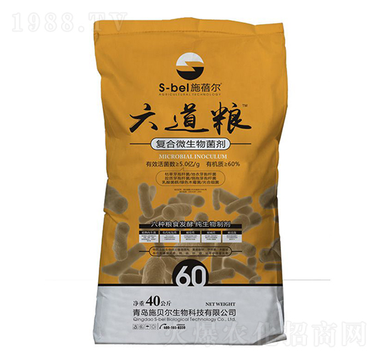 �ͺ�΢�������-�����Z-ʩ����