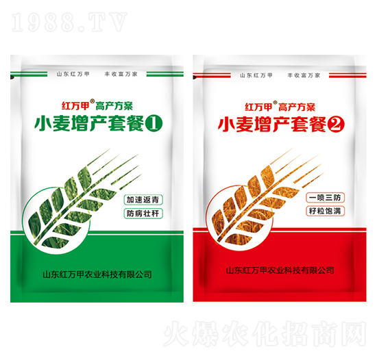 С�����a�ײ͢٢�-�t�f��