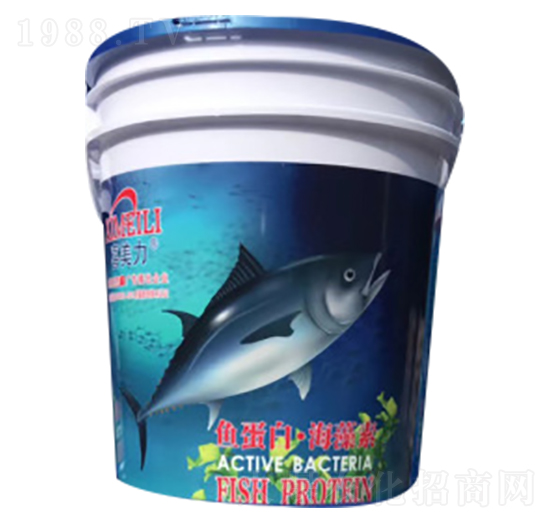 �~���ס�������-�G�����ʘI(y��)