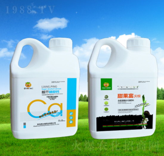 ������ָ�-���_���ʘI(y��)