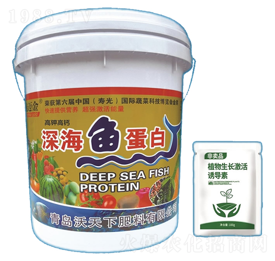 ��~(y��)����-ʩ�~��-������