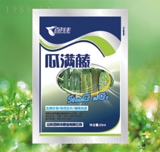 �ϝM��-�ٿ��S