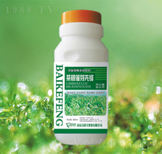 ����ѿ���h-�ٿ��S