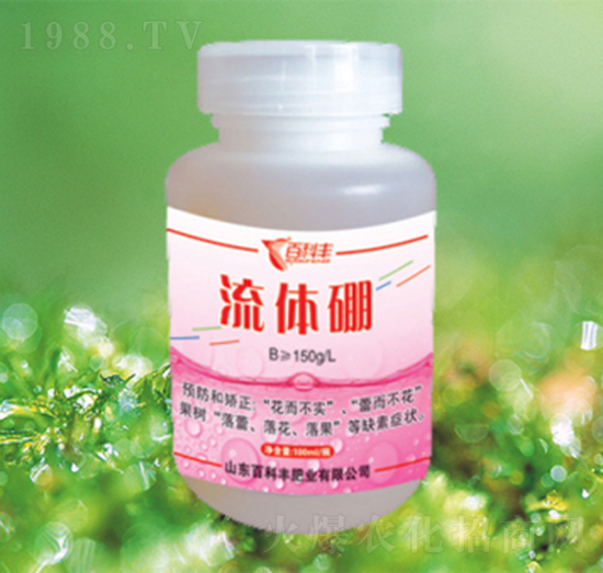 ���w��-�ٿ��S