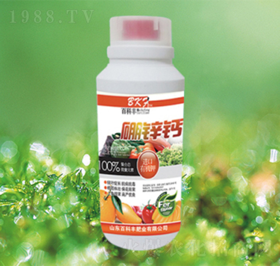 ���\�}-�ٿ��S