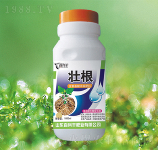 �Ѹ�-�ٿ��S