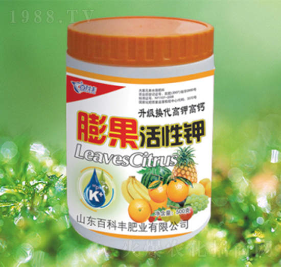 ��������-�ٿ��S