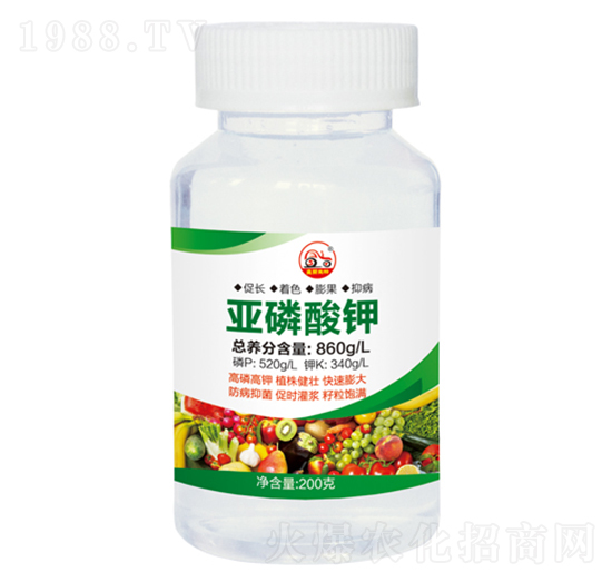 �������-ʢ������