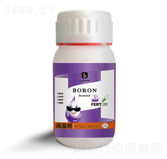 ������200ml��-��������