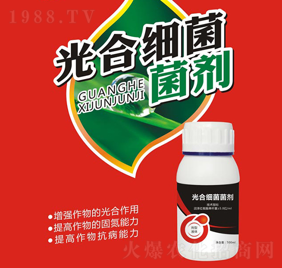 ��ϼ�������-�W����