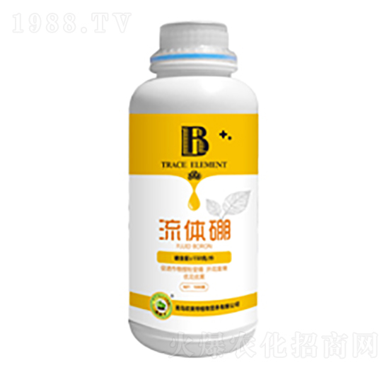 ���w��-�W����