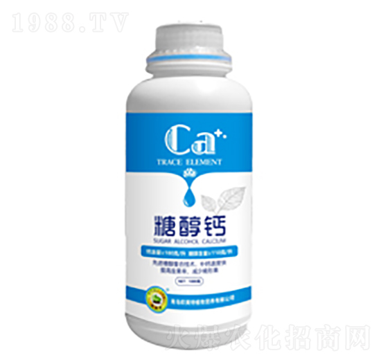 �Ǵ��}-�W����