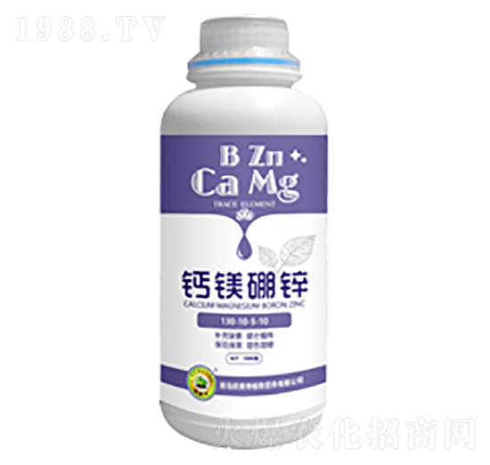 �}�V���\-�W����