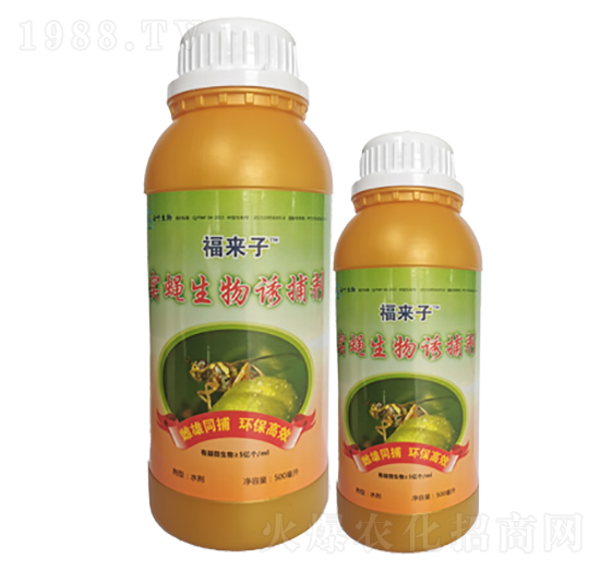 ��ω�����T����-���~����