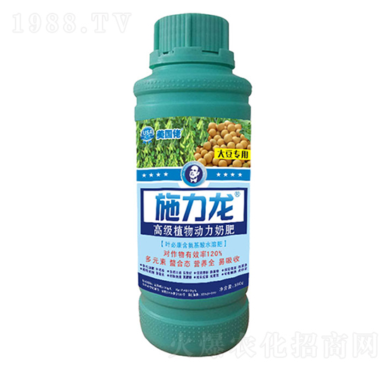 �󶹌����~���-ʩ����-�G����