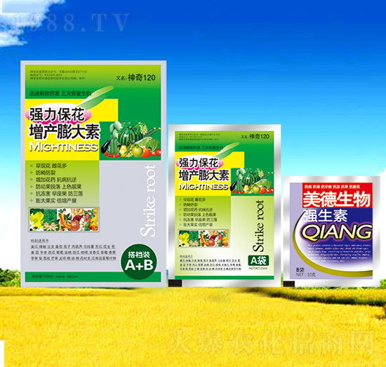 �������a(ch��n)�����-��������