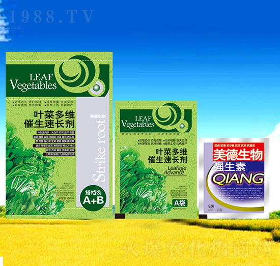 �~�˶�S�������L��-��������