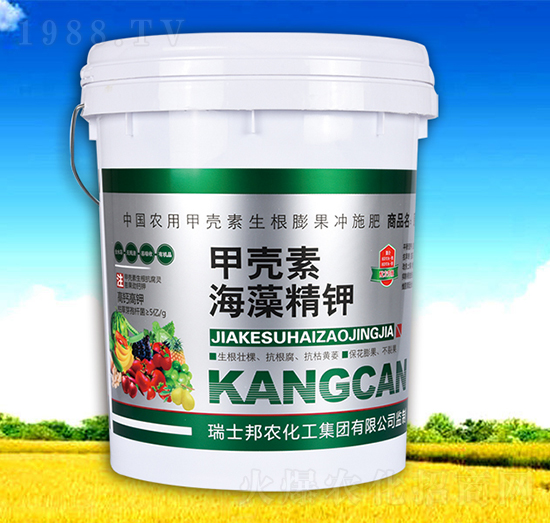 �ך��غ��徫�-��������