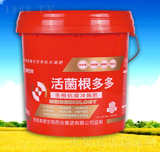 ���������_ʩ��-��������-��������