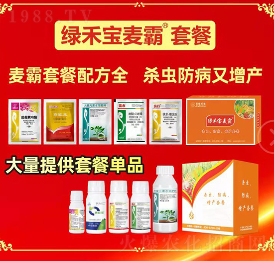 �G�̌������ײ�-�A�S�r(n��ng)�I(y��)