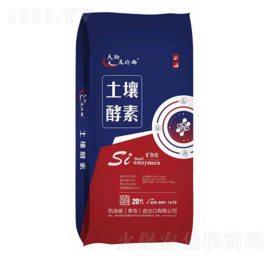 ��������-�P����