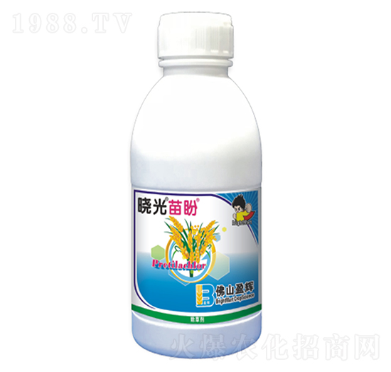 55%���ݰ�-�Թ�����-ӯ�x