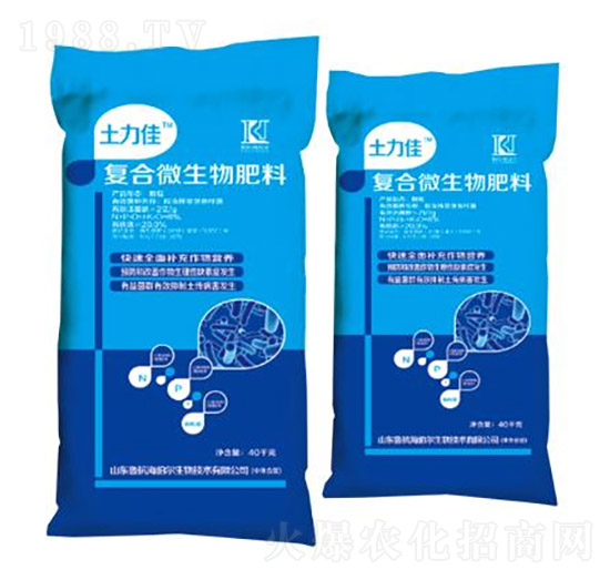 �ͺ�΢�������-������-��������