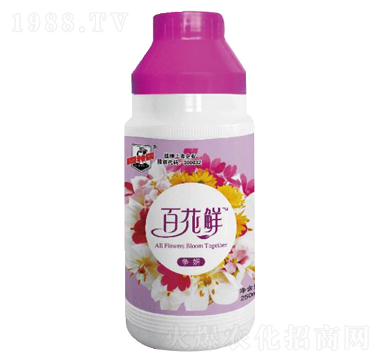 �ٻ��r����-������