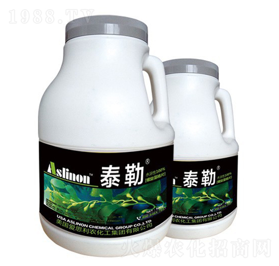 ̩�ա������徧Ƭ-�A�����r(n��ng)