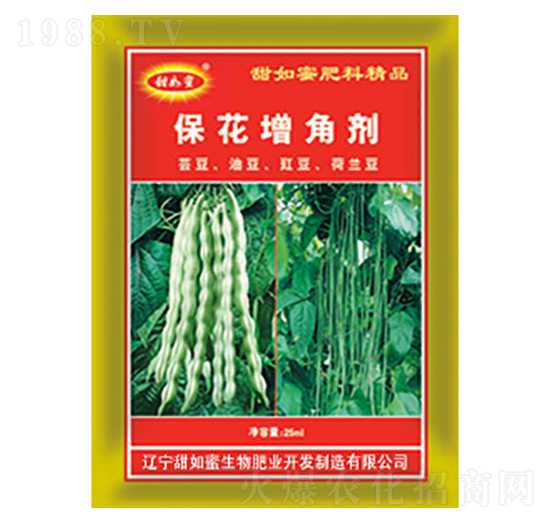 �������Ǆ�-������