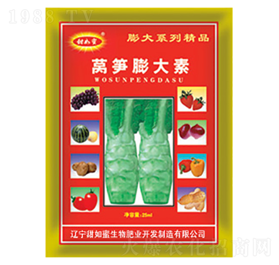 �n�S�����-������