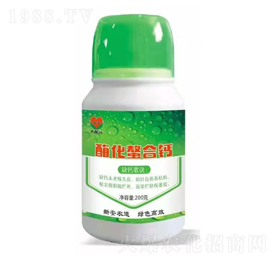 ø�������}-�°��r(n��ng)��