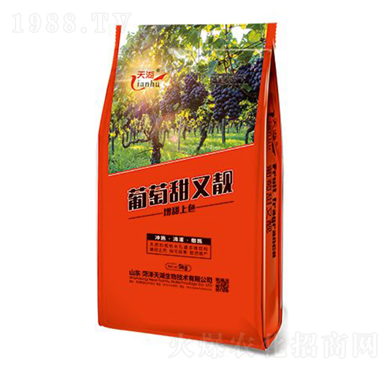 ���������n-���