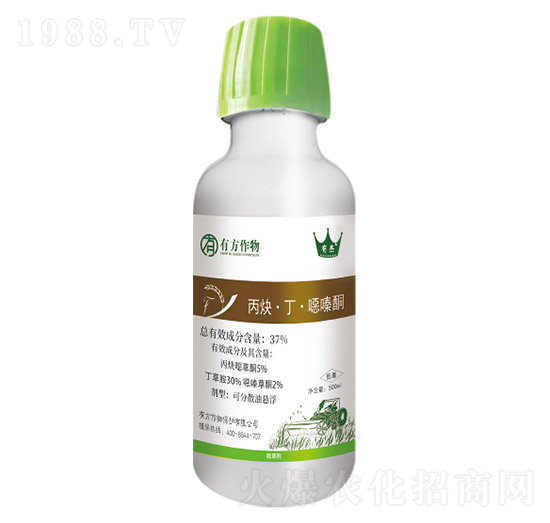 37%��Ȳ�������f�ͪ-�з�����