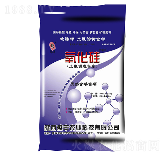 �����{�팣��-������-ʢ�S�r�I(y��)