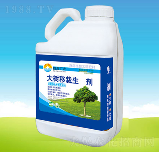 ���(sh��)�������L(zh��ng)��-�ĺ��R�r(n��ng)