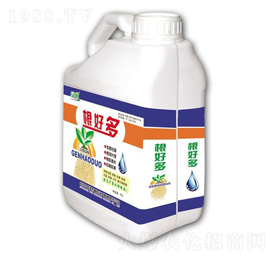 ���ö�-�G��-��������