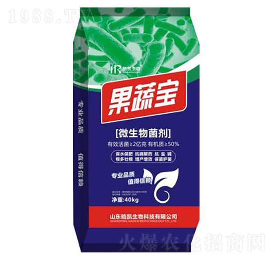 ΢�������-���ߌ�-�P����