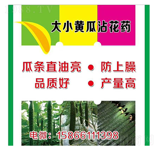 ����С�S��պ��ˎ-�����r(n��ng)�I(y��)