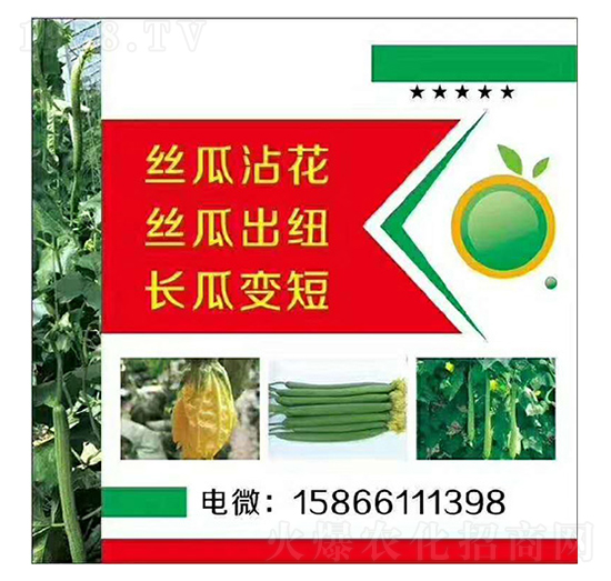 �z�����L��մ��׃�̳��~-�����r(n��ng)�I(y��)