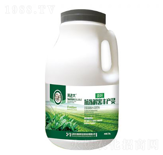 ���~�����⺦�S�a�`-�S�ϴ�-�ƺ���