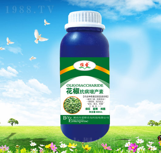 �����������a��-ֲʥ-��Ұ�r��