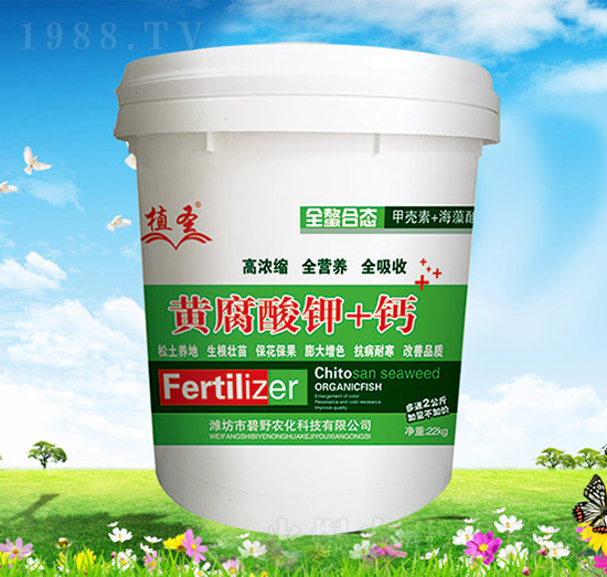 �S�����+�}-ֲʥ-��Ұ�r��