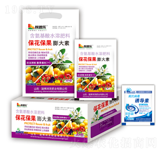 �������������-���ɷʘI(y��)