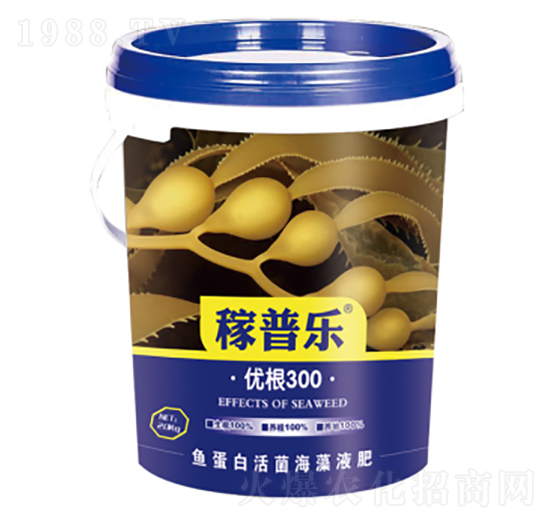 ��(y��u)��300-���՘�-���ɷʘI(y��)