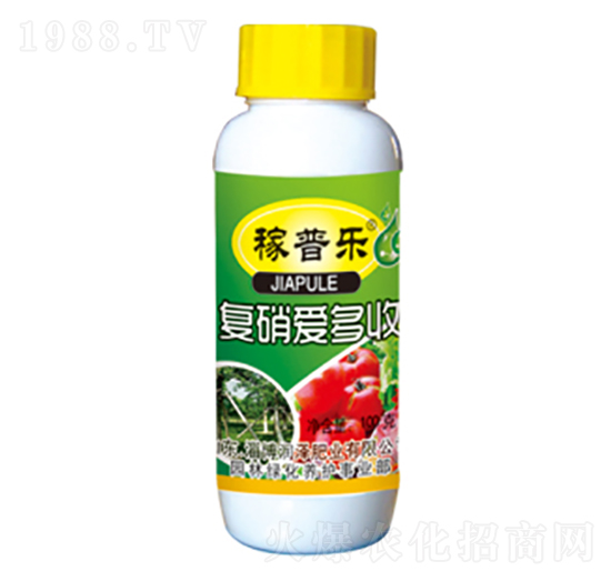 ��(f��)����(��i)����-���՘�(l��)-��(r��n)�ɷʘI(y��)