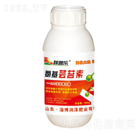 �����|̦��-���՘�-���ɷʘI(y��)