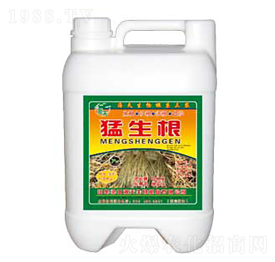 ������-��������