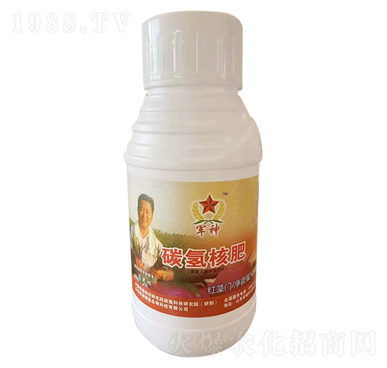 ̼��˷�-�t���T-̼����H